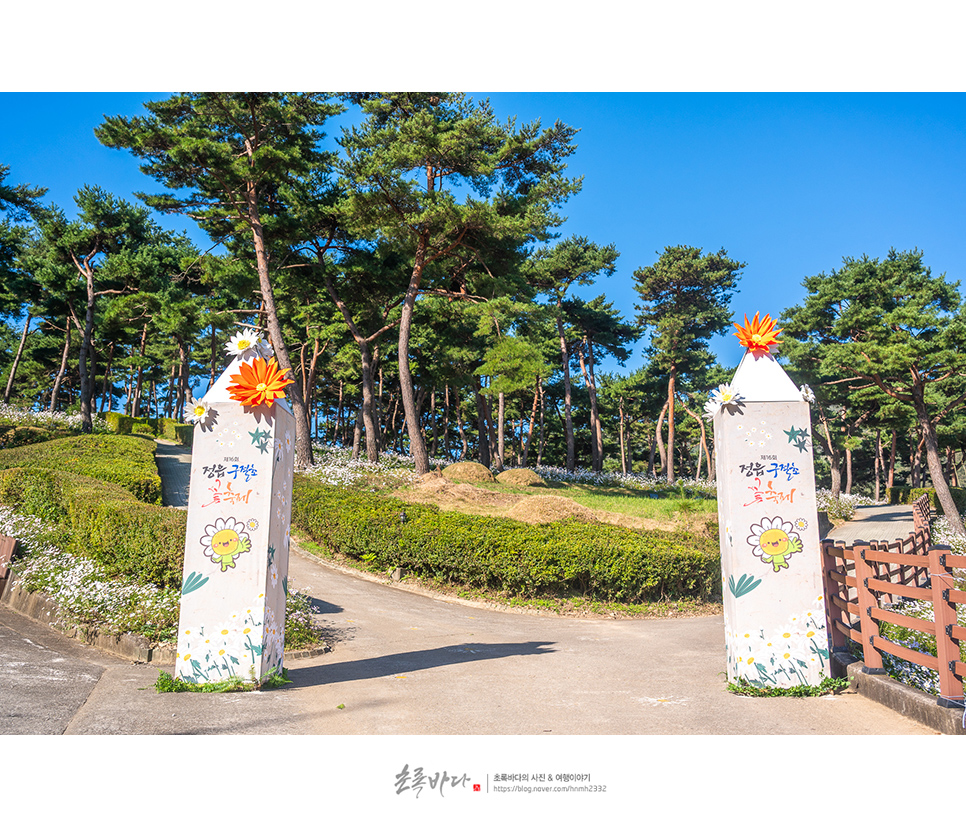 전북 드라이브 코스 정읍 여행 가을꽃축제 정읍 구절초축제