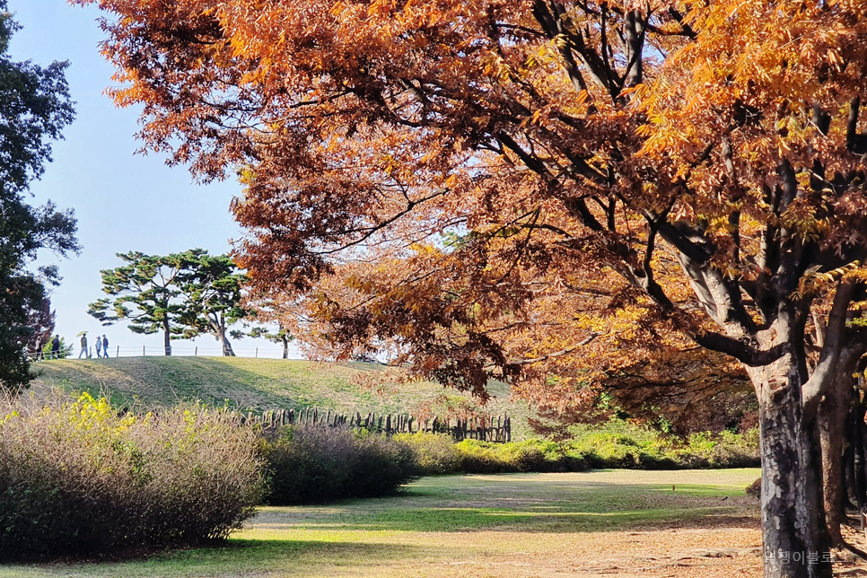2023 단풍시기 미리 보는 가을 여행 서울 단풍 명소 4곳