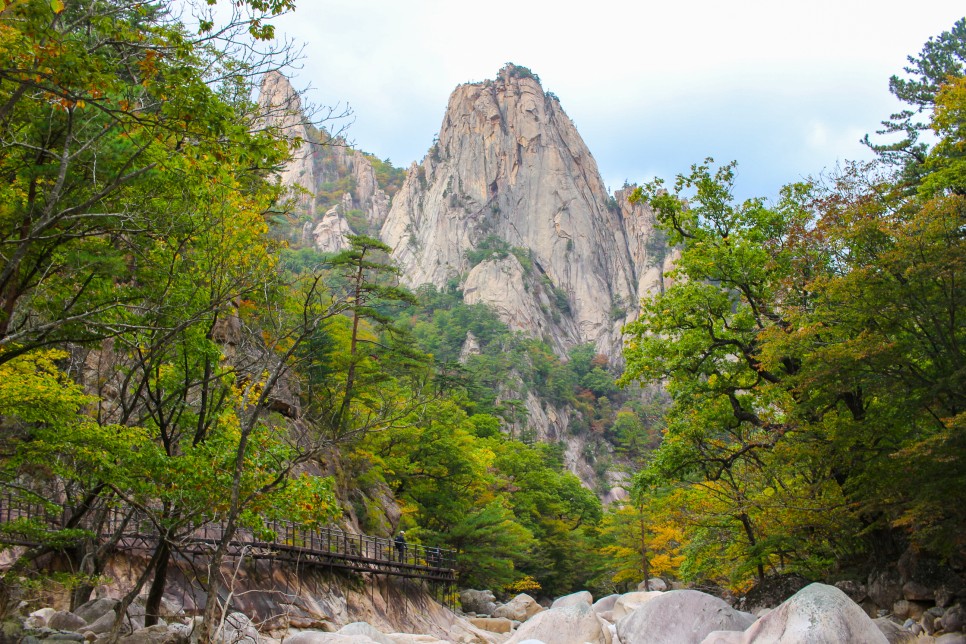 설악산 단풍 절정시기 등산코스 비선대 천불동계곡코스