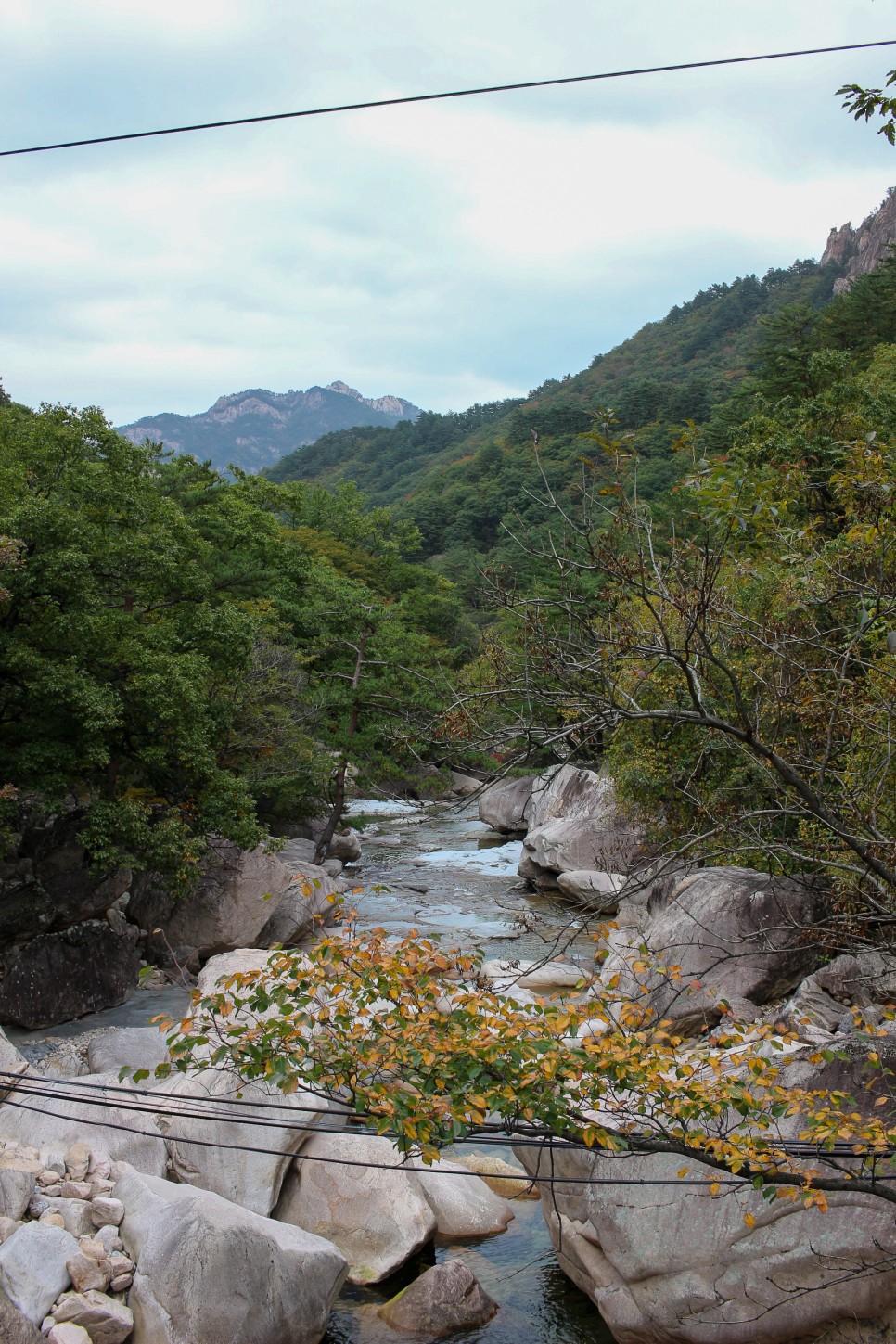 설악산 단풍 절정시기 등산코스 비선대 천불동계곡코스