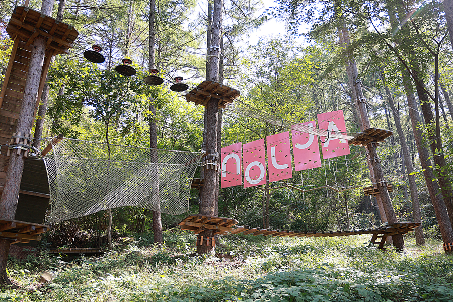 경기도 서울근교 아이들 가볼만한곳 아이들과 동두천 놀자숲 자연휴양림 가족 나들이 국내 최대 숲 테마파크