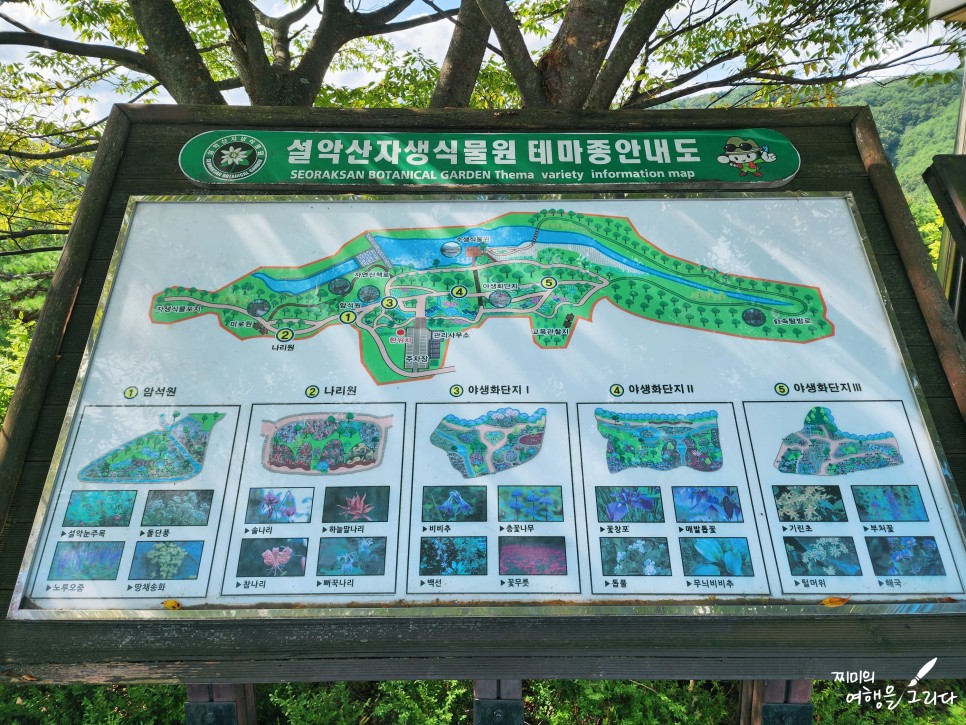 속초 여행 코스 국내 가을 여행지 영랑호 범바위 자생식물원 설악문화재
