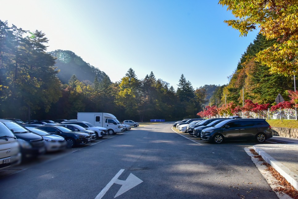 오대산 단풍 명소 오대산 선재길 월정사 전나무숲길 단풍절정 평창 가볼만한곳