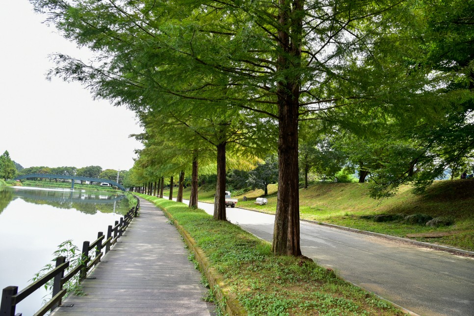 담양 여행 코스 죽녹원 등 볼거리 먹거리 명소 5곳