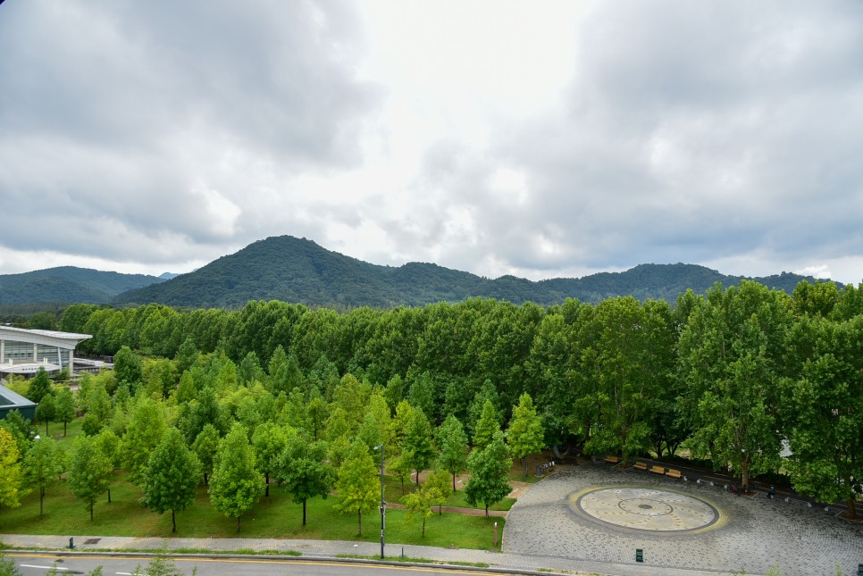 담양 여행 코스 죽녹원 등 볼거리 먹거리 명소 5곳