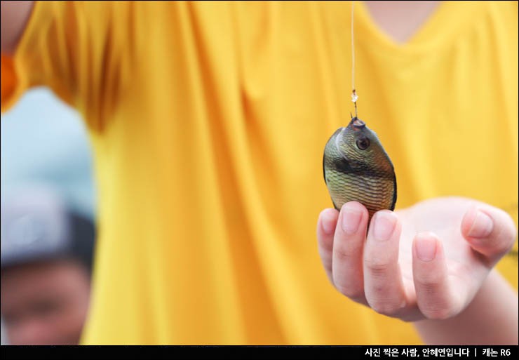 필리핀 세부 가족여행 일정 추천