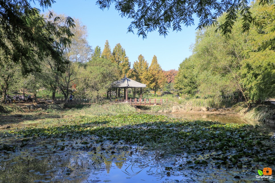 전주 아이와 가볼만한곳 전북 볼거리 한국도로공사 전주 수목원