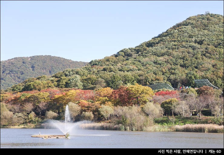 인천 당일치기 여행 인천 가볼만한곳 인천대공원 단풍 여행지 가을 나들이