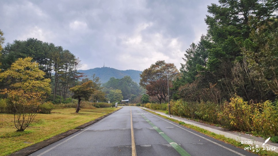 천안 독립기념관 단풍나무 숲길 가을 명소 드라이브 구경