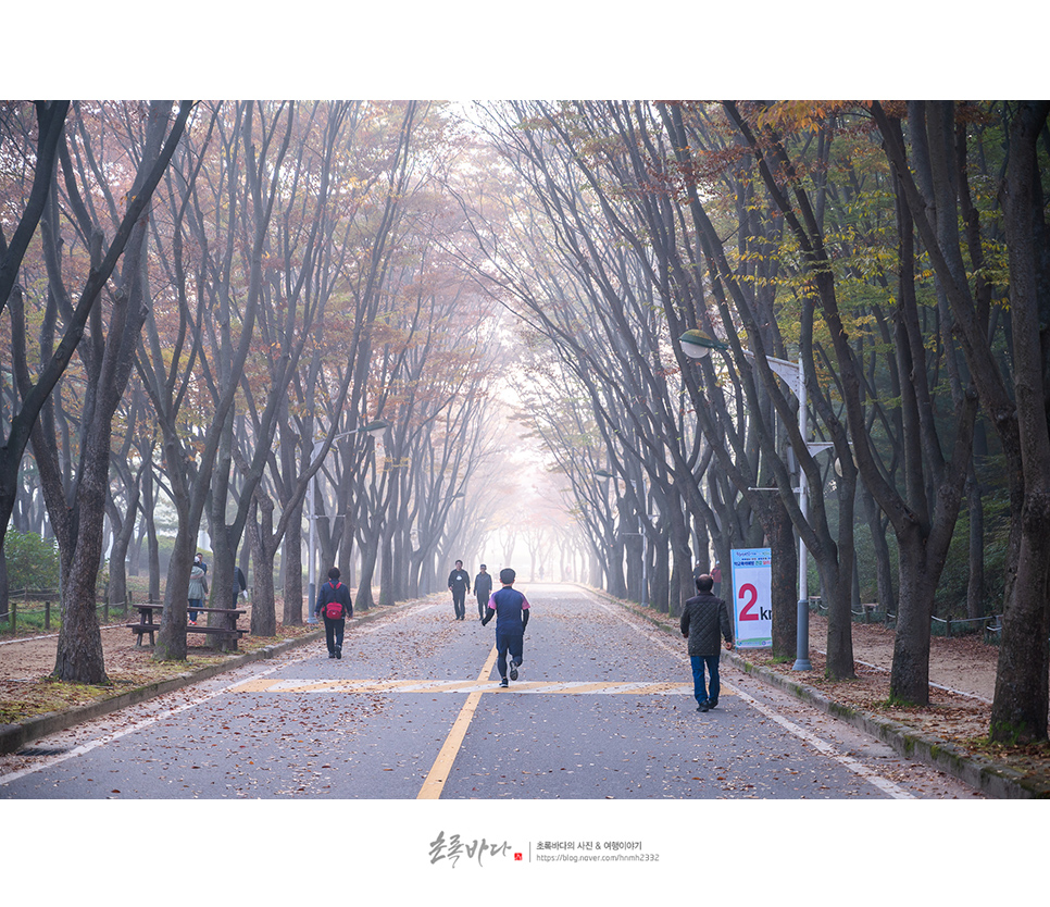 인천대공원 단풍 명소 인천 공원 볼거리 데이트 나들이