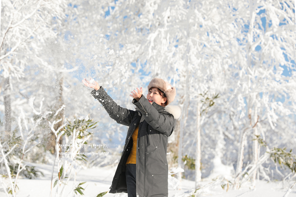 일본 북해도 여행 가볼만한곳 겨울 해외여행 추천