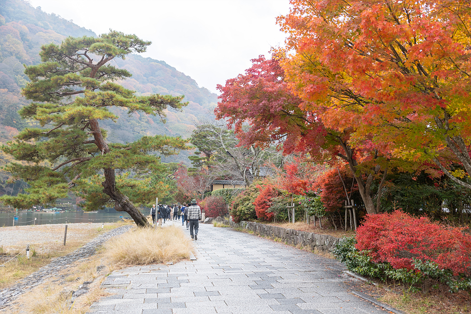 일본 단풍여행 추천 11월 오사카 여행 3박4일 일정 경비 날씨 옷차림