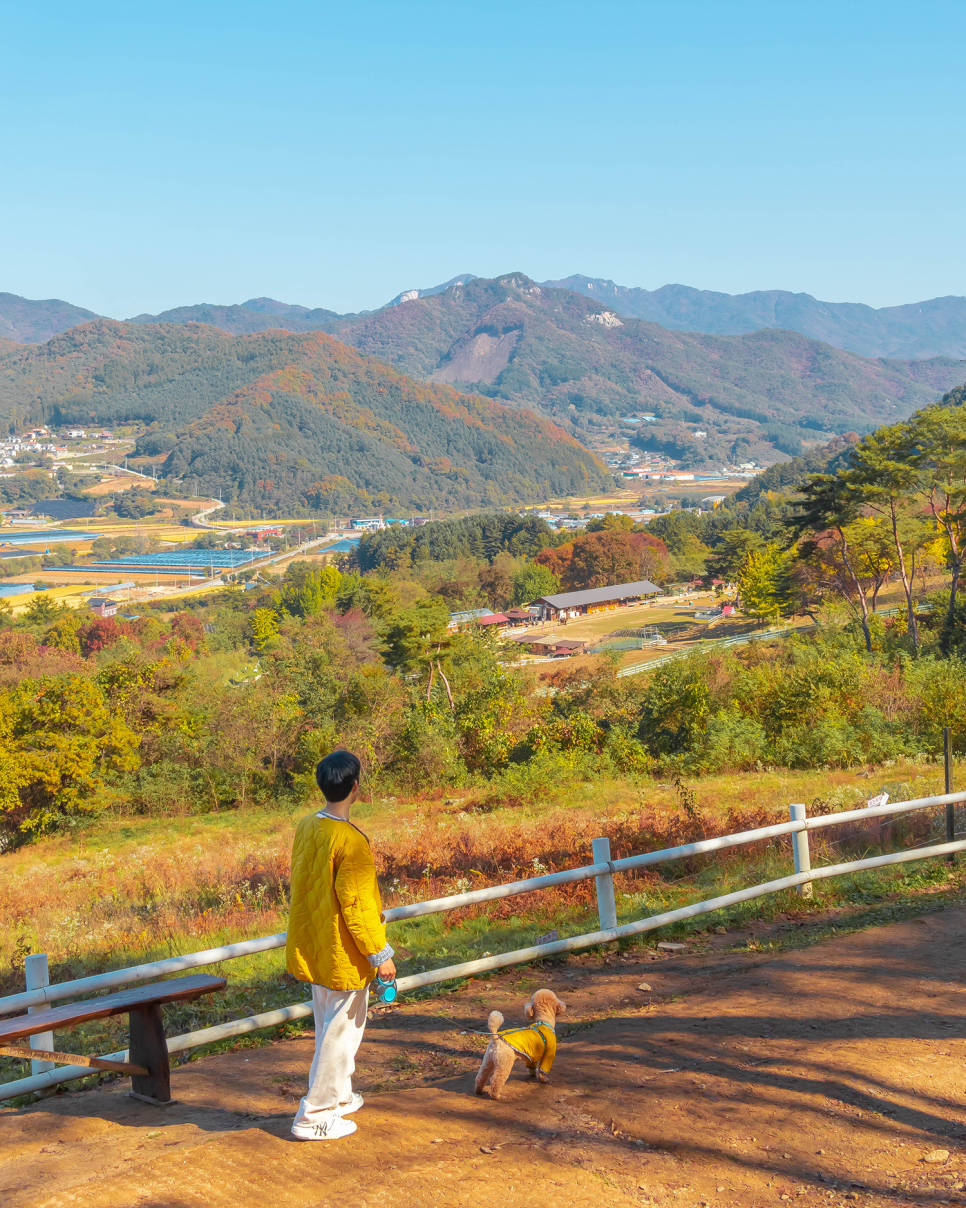 강원도 춘천 가볼만한곳 춘천 볼거리, 춘천명소 목장, 카페 감자밭, 강아지숲, 춘천 호텔