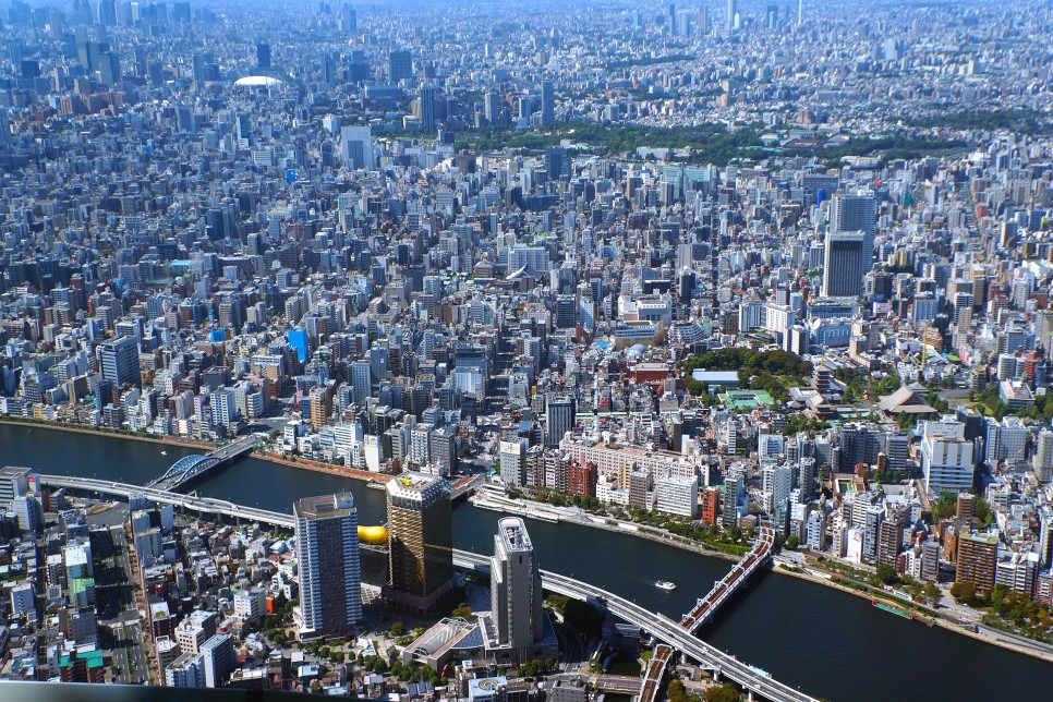 도쿄 여행 도쿄 스카이트리 전망대 예약 입장권 높이 TIP