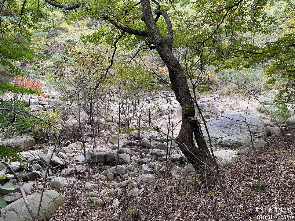 아들과 첫 등산? 관악산 무장애숲길 2시간 코스