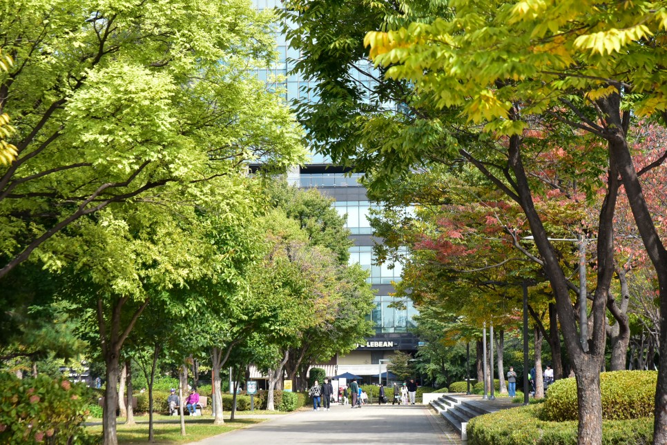 서울 단풍 명소 서울숲 단풍 가을 서울 여행지 단풍시기는 10월말예상