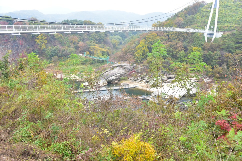 서울근교 갈만한곳 철원 고석정꽃밭 과 한탄강물윗길 등 가을여행 명소 6곳