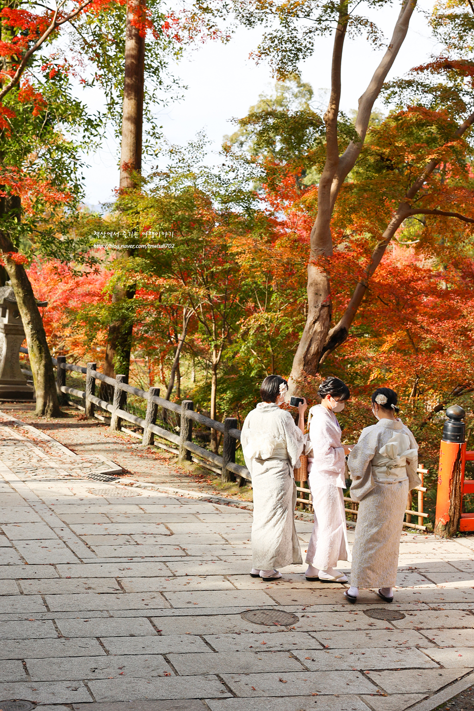 가을여행 추천 일본 교토 단풍 예상시기 11월 해외여행