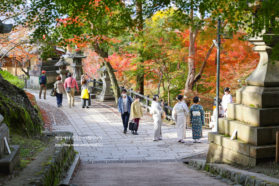 가을여행 추천 일본 교토 단풍 예상시기 11월 해외여행