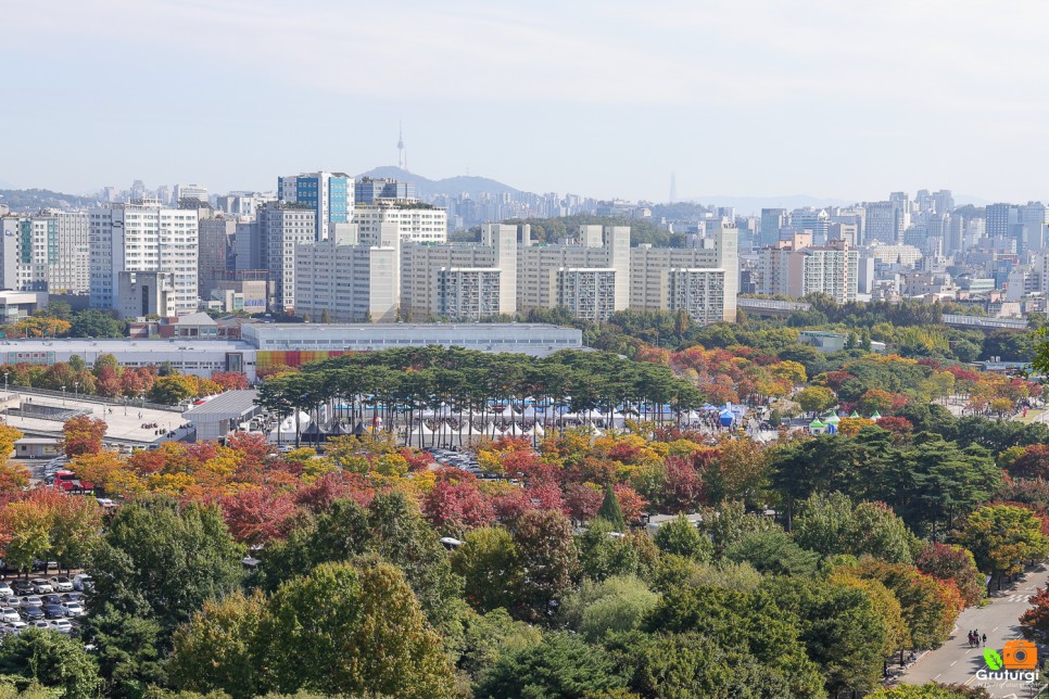 10월 서울 가볼만한곳 상암 하늘공원 억새축제 서울 가을데이트