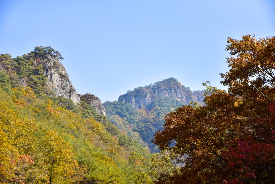 주왕산 단풍 청송 주왕산 국립공원 등산코스 단풍 절정시기 풍경