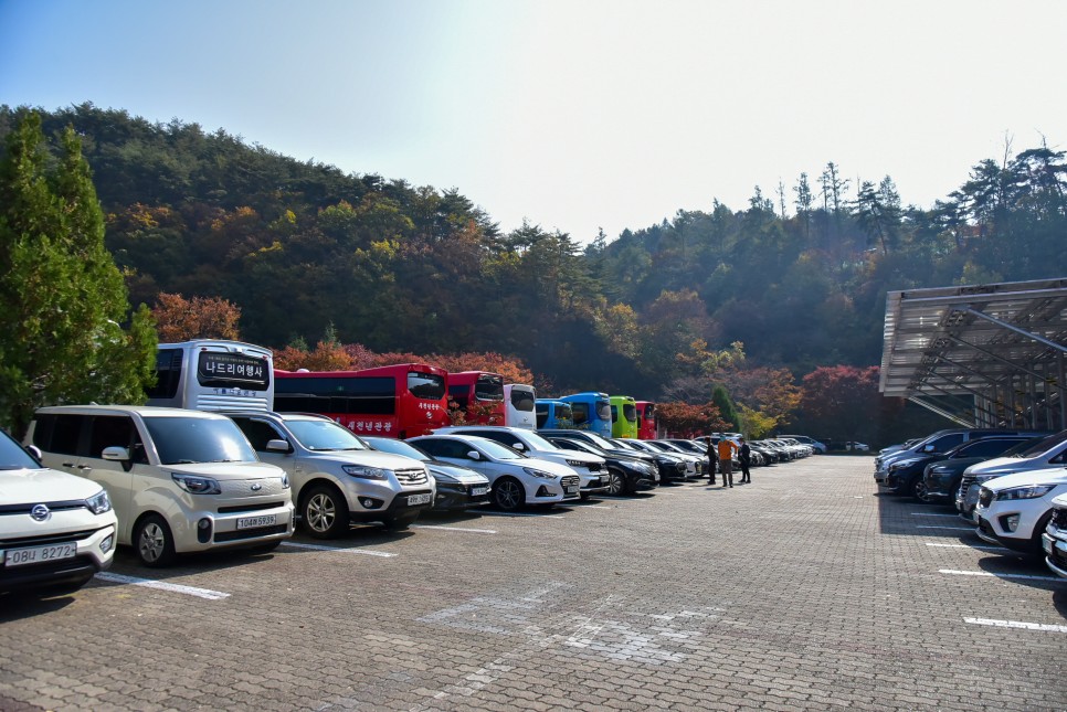 주왕산 단풍 청송 주왕산 국립공원 등산코스 단풍 절정시기 풍경