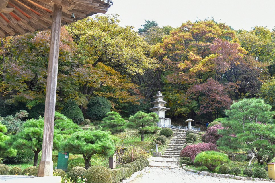 영주 가볼만한곳 영주 부석사 단풍 절정 시기 풍경과 무량수전