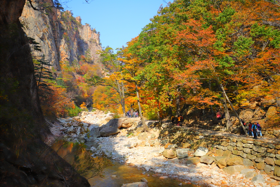 강원도 양양 가볼만한곳 가을 단풍 여행 : 오색주전골 미천골 자연휴양림