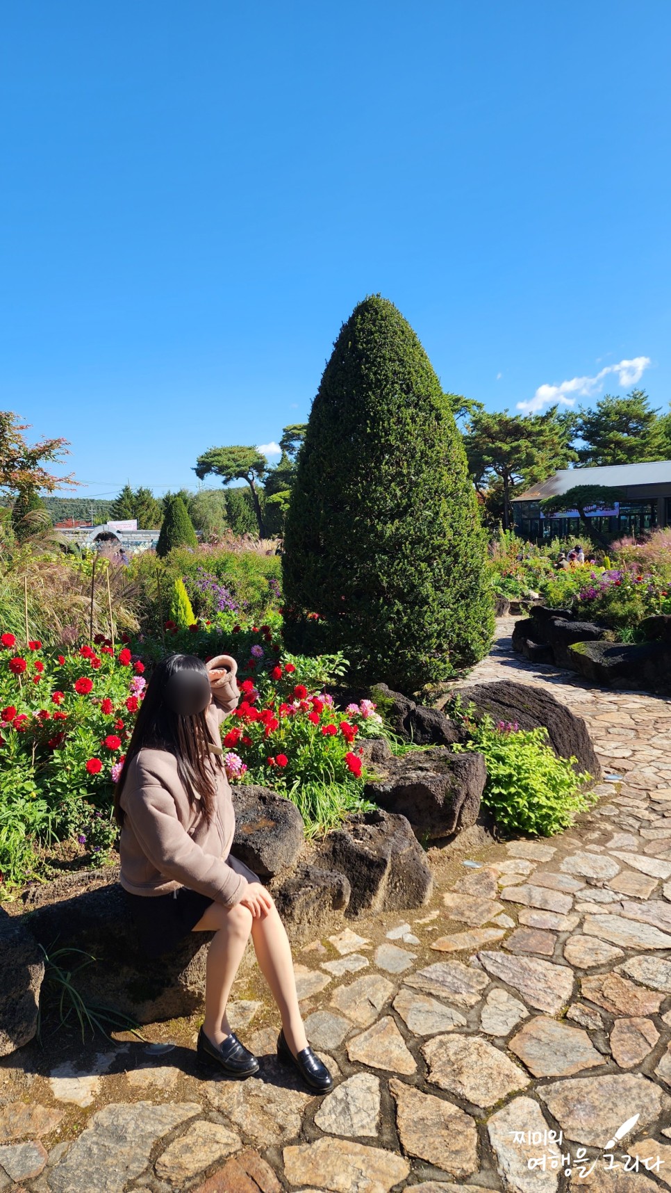 파주 벽초지수목원 가을꽃 국화축제 경기도 식물원 데이트 나들이 볼거리
