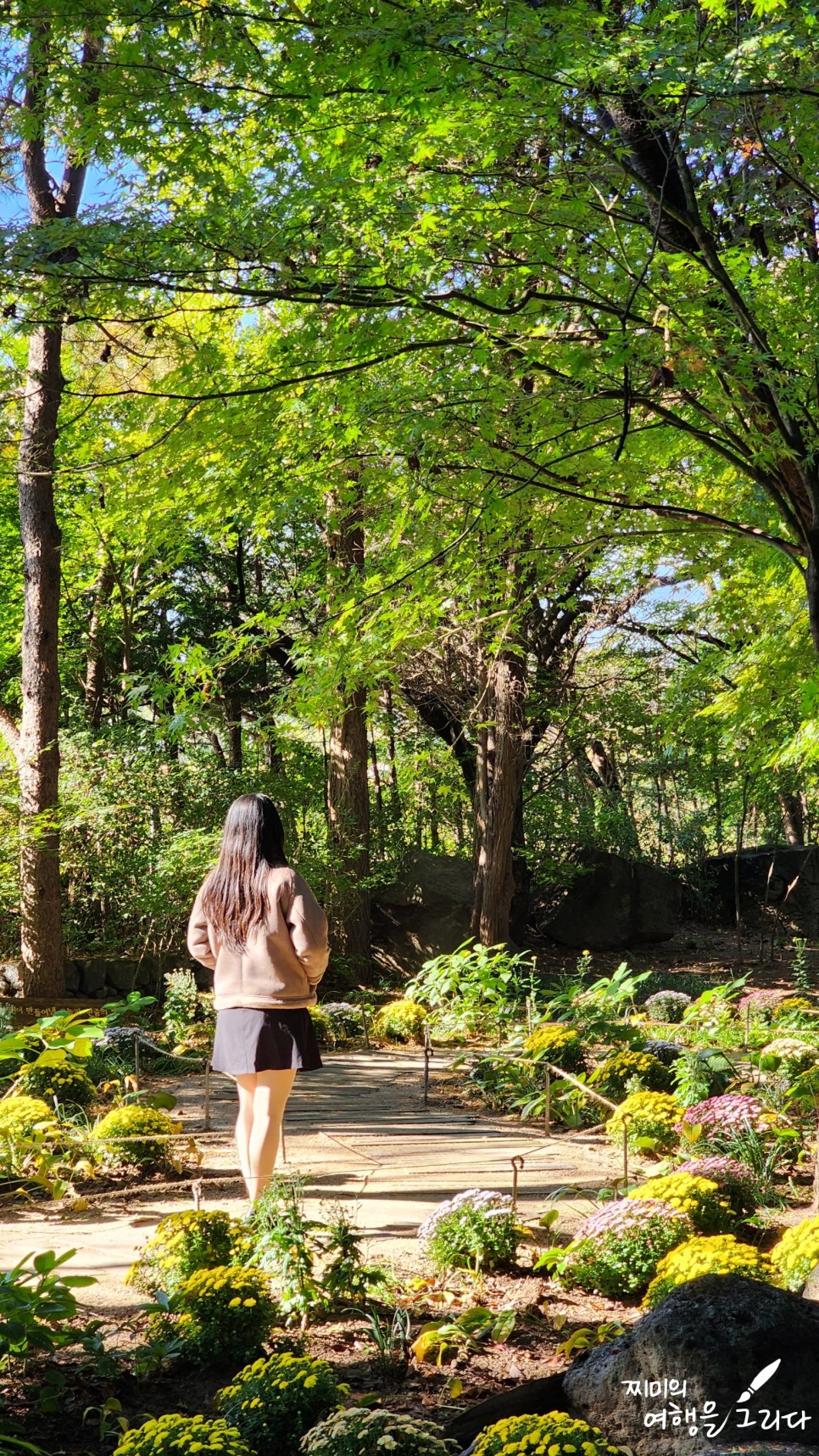 파주 벽초지수목원 가을꽃 국화축제 경기도 식물원 데이트 나들이 볼거리