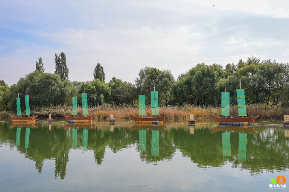 상암 월드컵공원 평화의 공원 피크닉 장소 서울 가을 나들이