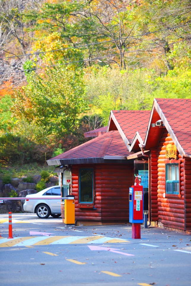 강원도 양양 가볼만한곳 가을 단풍 여행 : 오색주전골 미천골 자연휴양림