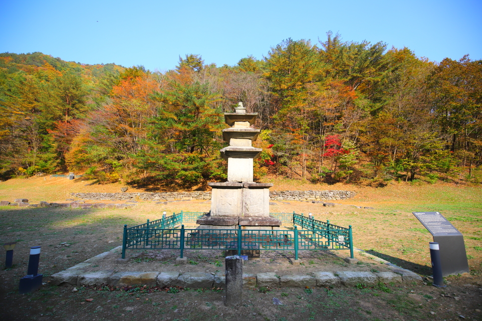 강원도 양양 가볼만한곳 가을 단풍 여행 : 오색주전골 미천골 자연휴양림