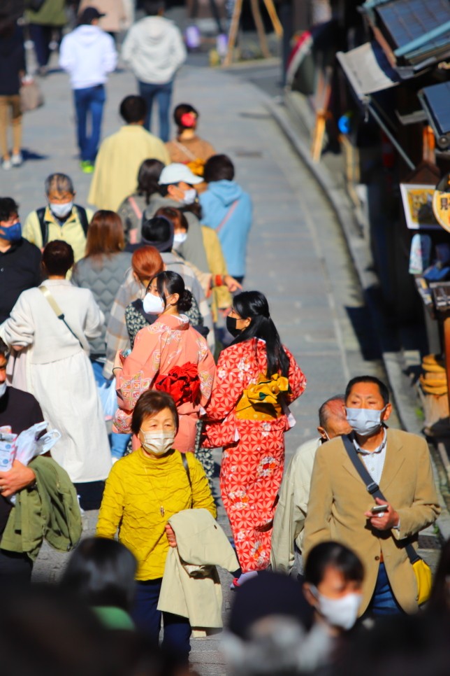 일본 오사카 교토 버스투어 당일치기 코스 2023년 교토 단풍 시기