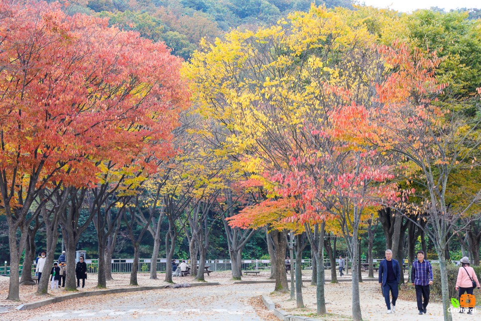 인천 데이트 가볼만한곳 인천 단풍 명소 인천대공원 단풍 나들이