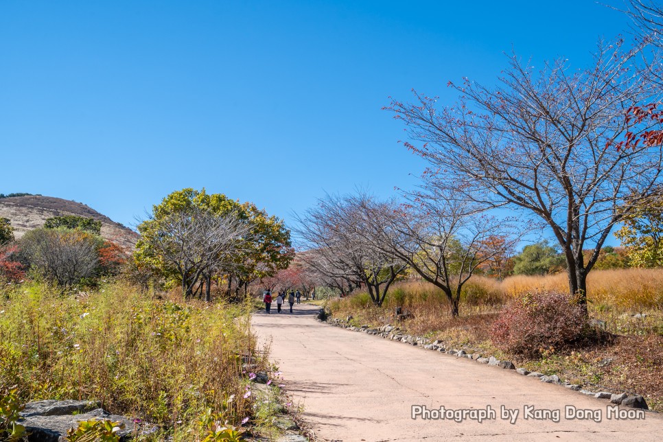 경상도 가볼만한곳 한국 100대 명산 산청 합천 황매산 군립공원 트레킹 코스 억새 여행