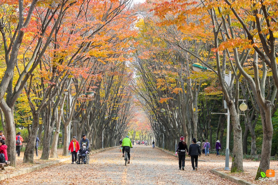 인천 데이트 가볼만한곳 인천 단풍 명소 인천대공원 단풍 나들이