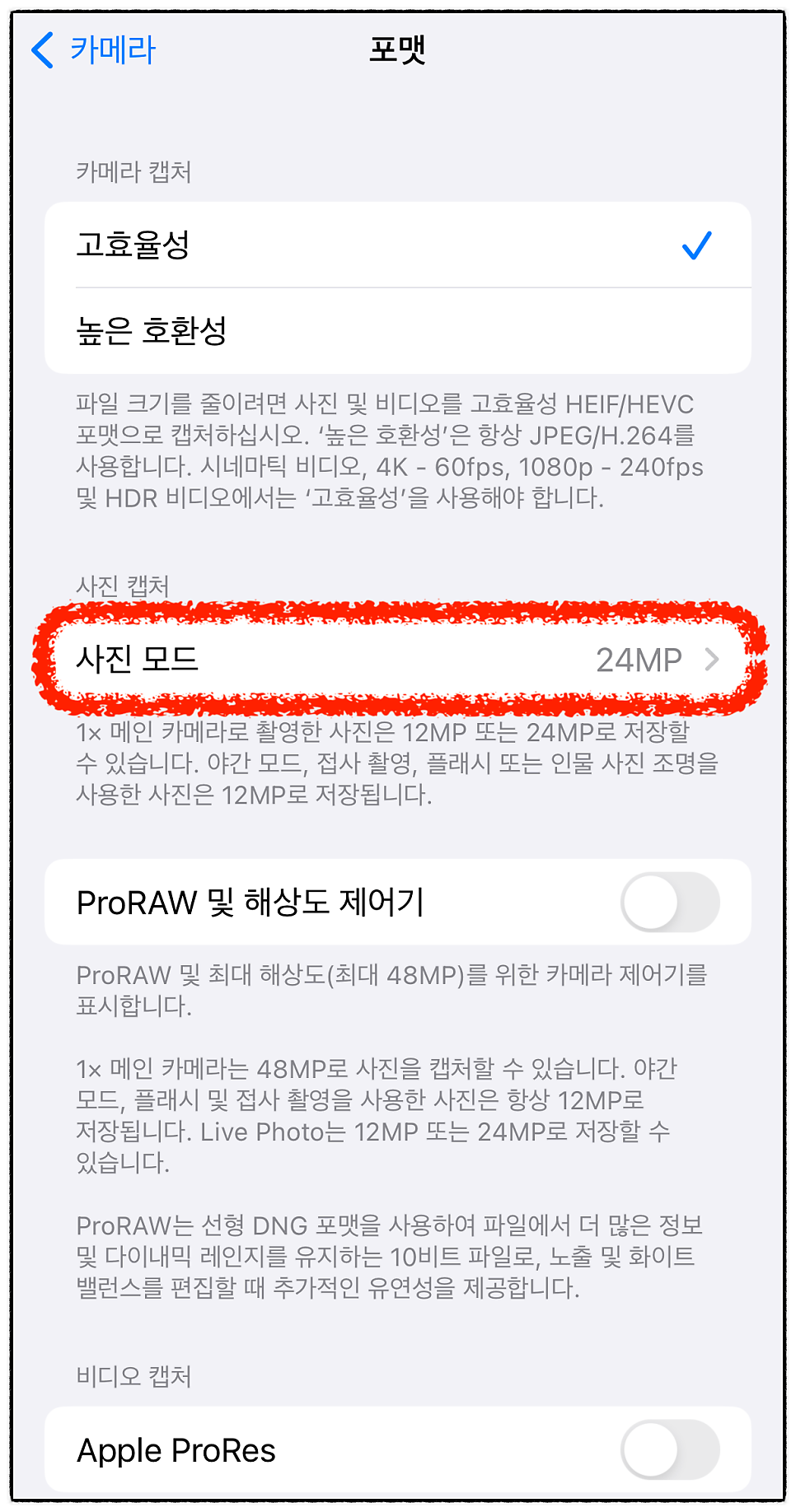 아이폰15 프로 카메라 버그 사진 크롭, 검은박스 임시 조치 방법 ( 카메라 설정 )