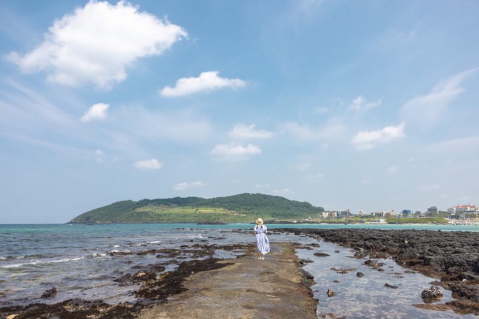 제주도 함덕해수욕장 앞 제주 보말칼국수 장수상회