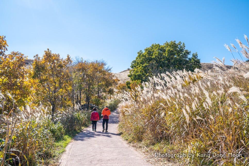 경상도 가볼만한곳 한국 100대 명산 산청 합천 황매산 군립공원 트레킹 코스 억새 여행