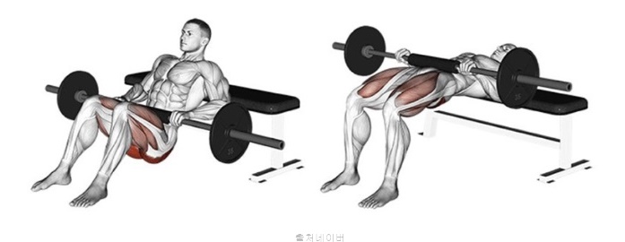 여자 남자 헬스 루틴 애플힙 힙업 운동 런지 힙쓰러스트 엉덩이 근육 운동 효과 자세