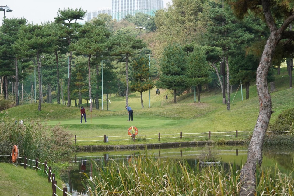 서울 인근 경기도 파3 골프장 수원cc 골프 데이트 후기