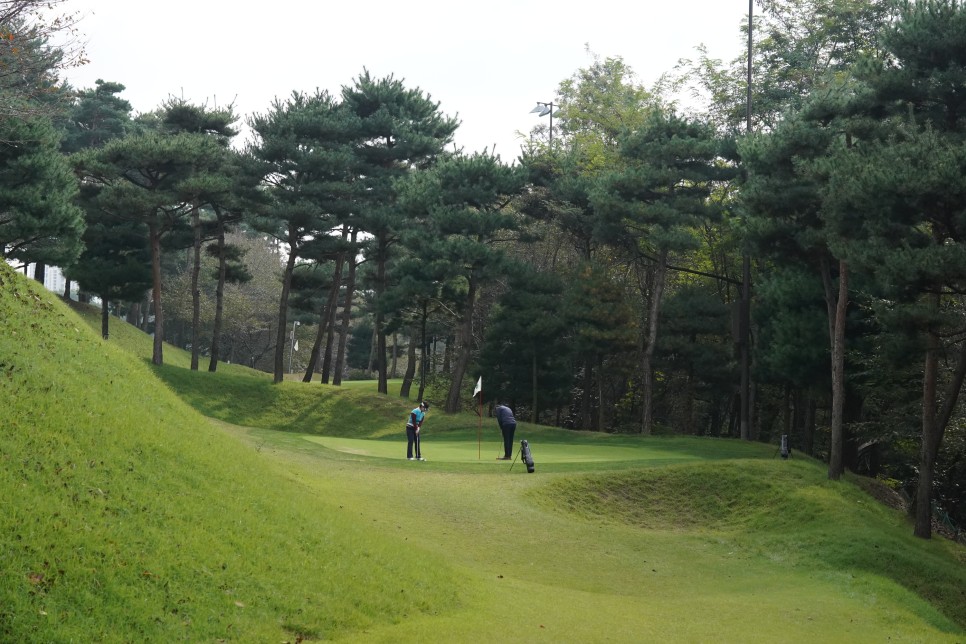 서울 인근 경기도 파3 골프장 수원cc 골프 데이트 후기