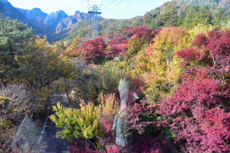 단풍 명소 대둔산 단풍 대둔산 케이블카 타고 구경 완주 여행