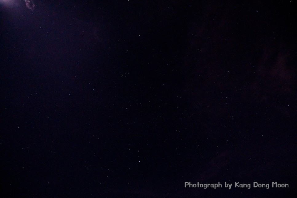 코타키나발루 반딧불투어 별빛 여행 말레이시아 코타키나발루 야경