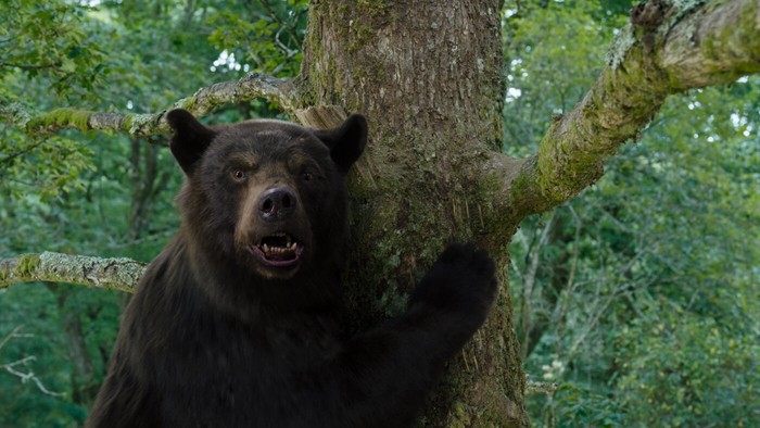 영화후기, 흑곰이 약 먹고 달려드는 골 때리는 코미디영화. 이 모든 건 놀라운 실화이야기?