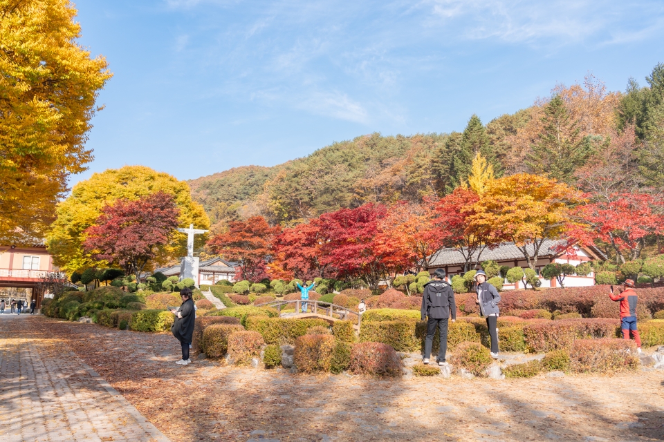 충북 제천 가볼만한곳 제천여행 가을 단풍 명소 배론성지