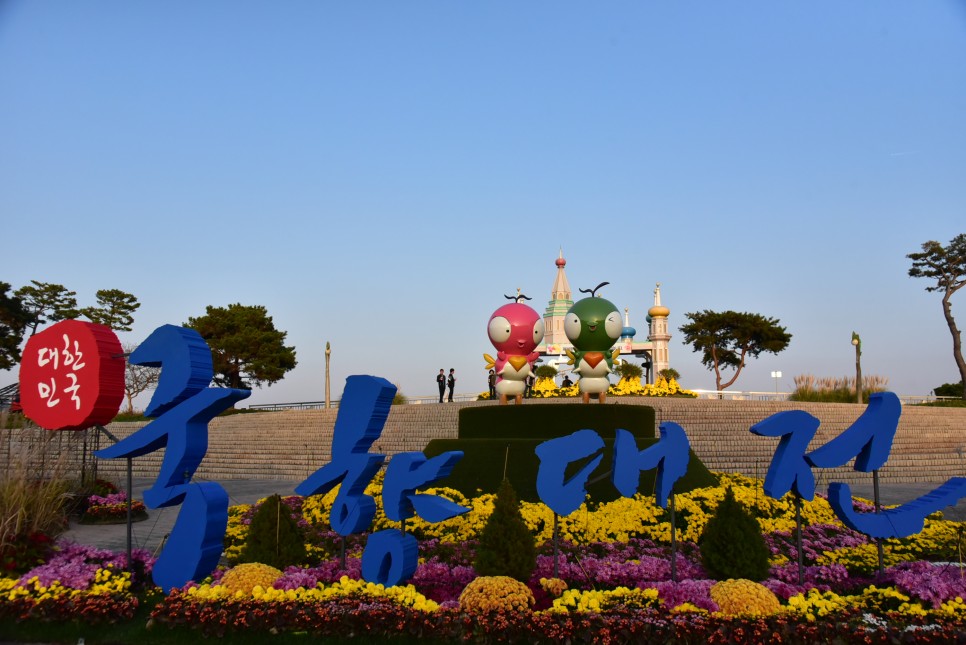 함평국화축제 가을꽃축제 함평 가볼만한곳