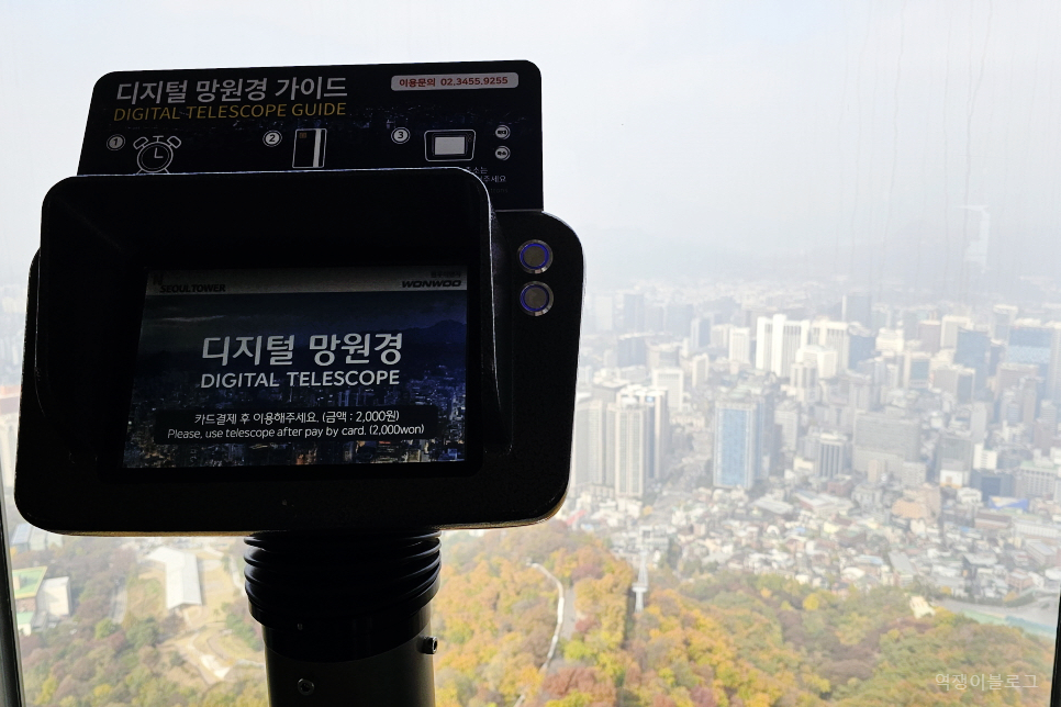 서울 가을 데이트 서울 단풍명소 남산타워 전망대 남산 백범광장
