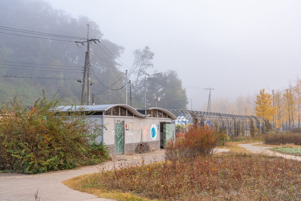 충북 여행 괴산 가볼만한곳 괴산 문광저수지 은행나무길 실시간 상황